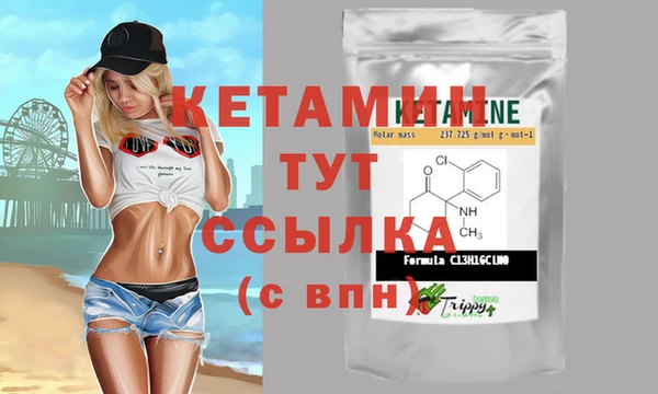 индика Бронницы