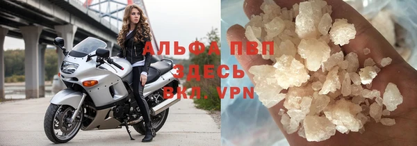индика Бронницы