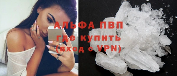 индика Бронницы