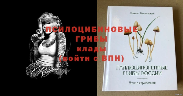 PSILOCYBIN Бугульма