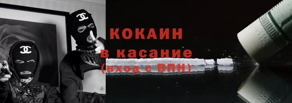 индика Бронницы
