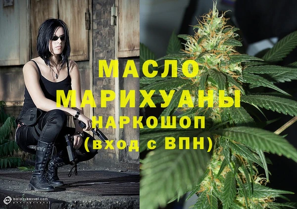 индика Бронницы