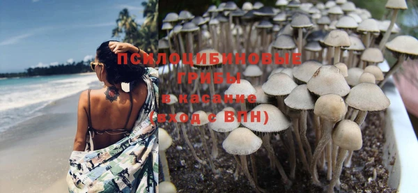 индика Бронницы
