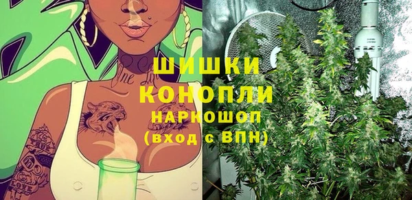 индика Бронницы