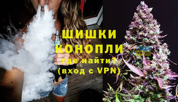 индика Бронницы