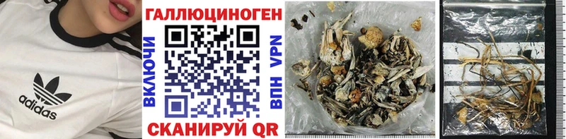 Галлюциногенные грибы прущие грибы  Тогучин 